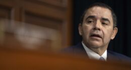 No More Mr. Nice Guy After Dem Runs Back to His Party Despite ‘Life Saving’ Pardon – RedState