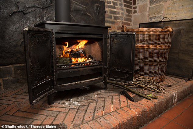 Brits could face extra restrictions on the use of wood-burning stoves after the Government unveiled tough new environmental targets