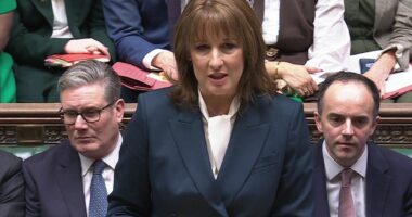 OBR confronted Treasury about ‘unhelpful’ policy leaks before Reeves’ Budget