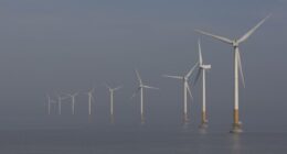 Oh, Come On! Clinton-Appointed Judge Jumps in to Stop Trump's Wind Project Order – RedState