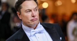 Celebrity Net Worth logo