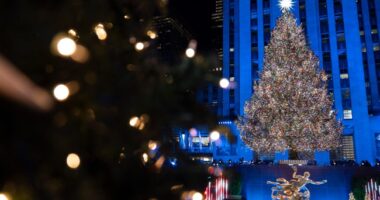 Our Elites Are Insane – HotAir