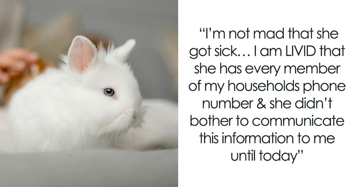 Owner Trusts Bestie With Bunny Care, She Goes MIA Entire Vacation, Texts Only After Damage Is Done