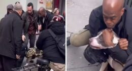 Pit Bull Attacks Toddler On Packed Manhattan Street, Refuses To Release Grip