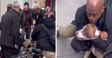 Pit Bull Attacks Toddler On Packed Manhattan Street, Refuses To Release Grip