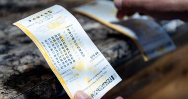 Powerball players told to check tickets to claim prizes after last night’s draw