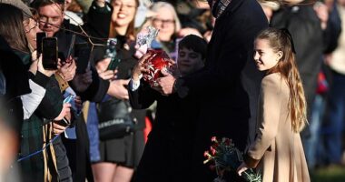 In one photo Louis can be seen clinging onto a giant Lindor chocolate - which appeared to have been a gift from a member of the crowd