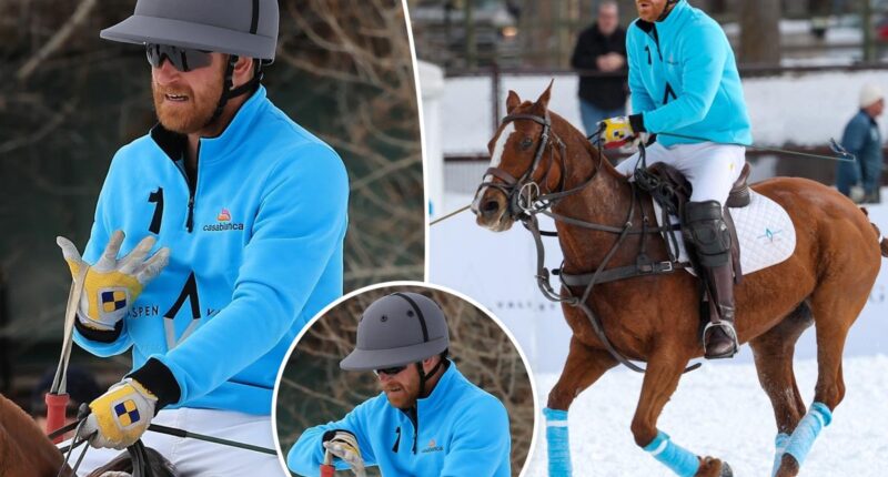 Prince Harry injures his hand at Snow Polo in Aspen