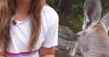 Princess Ingrid Alexandraof Norway recently visited one of the city’s biggest tourist attractions – Taronga Zoo