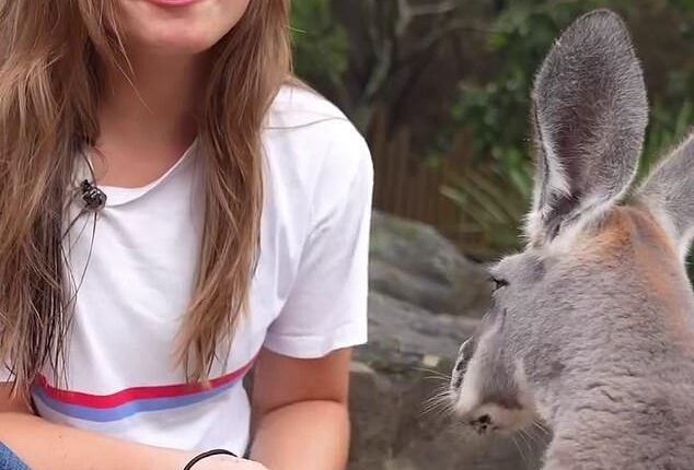 Princess Ingrid Alexandraof Norway recently visited one of the city’s biggest tourist attractions – Taronga Zoo