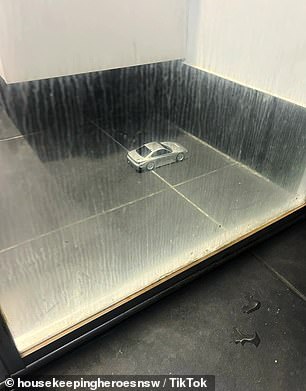 A professional cleaner has revealed the $5 item every Australian household should have