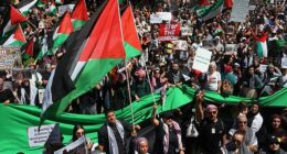 All protests have been banned across Sydney for 14 days (pictured pro-Palestine march in 2023)