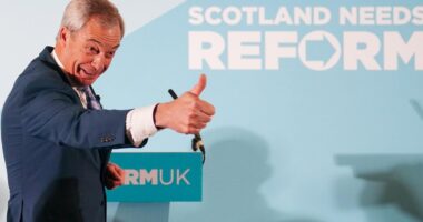 Questions over Reform’s donations as electoral watchdog urged to investigate Nigel Farage’s party links with crypto