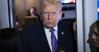 The Trump administration is preparing its federal immigration agents for a 'swamp sweep' in America's most notorious quagmire. New Orleans will soon see an increased presence of immigration officials tasked with carrying out Trump's sweeping deportation mandate. Around 250 agents will be dispatched to Louisiana to round up at least 5,000 illegal migrants.