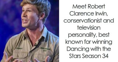 Robert Irwin: Bio And Career Highlights
