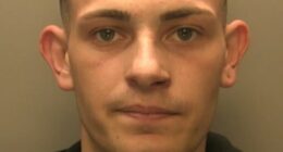 Gang member Harri Pullen, 27, of no fixed abode, had a fling with a prison nurse and phone sex with a guard before later also escaping from custody