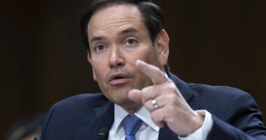 Rubio Targets Five Foreign Operatives Who Conspired With Big Tech to Censor Americans – RedState