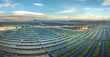 SCOTUS Can Stop Blue Cities From Forcing Energy Diktats On The Rest Of The Country