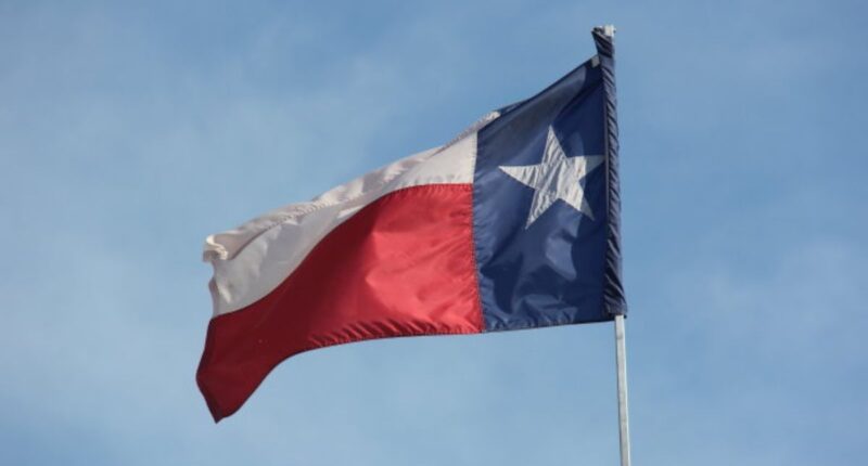 SCOTUS Greenlights Texas' New Congressional Map (For Now)