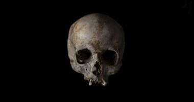 Science Should Not Be About 'Stories,' But About Truth – HotAir