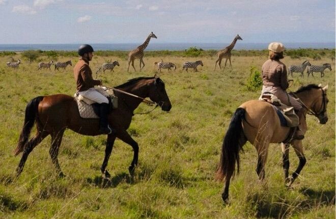 Six Enchanting Escapes for 2026