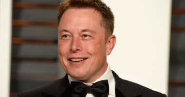 Celebrity Net Worth logo