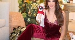 Sofia Vergara certainly steamed up Instagram feeds on a chilly Christmas Eve morning
