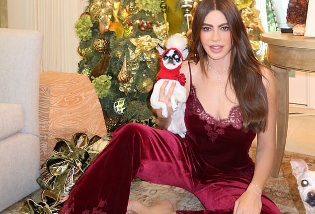 Sofia Vergara certainly steamed up Instagram feeds on a chilly Christmas Eve morning
