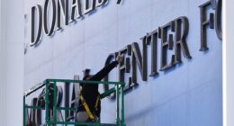 A former writer for South Park pulled off a long-term troll job by purchasing 'Trump-Kennedy' domain names on the web months in advance of the president's renaming of the Kennedy Center