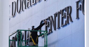 A former writer for South Park pulled off a long-term troll job by purchasing 'Trump-Kennedy' domain names on the web months in advance of the president's renaming of the Kennedy Center