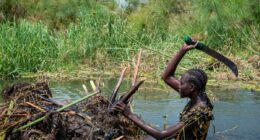South Sudanese community fights to save land from relentless flooding worsened by climate change