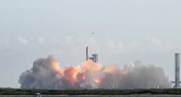 SpaceX may be worth more than half of Tesla — with a sixth of the revenue