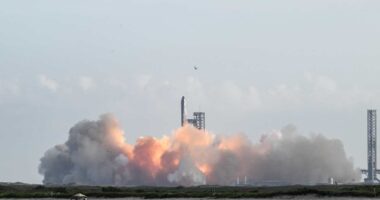 SpaceX may be worth more than half of Tesla — with a sixth of the revenue