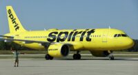 Two Spirit Airlines agents are facing theft charges after a passenger alleged they stole their $500 Louis Vuitton purse from a Florida airport (stock image)