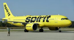 Two Spirit Airlines agents are facing theft charges after a passenger alleged they stole their $500 Louis Vuitton purse from a Florida airport (stock image)