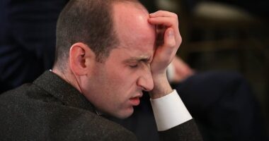 Stephen Miller Net Worth