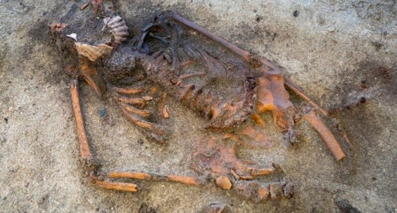 Strange Viking Age burial with shells covering woman’s mouth leaves archaeologists perplexed