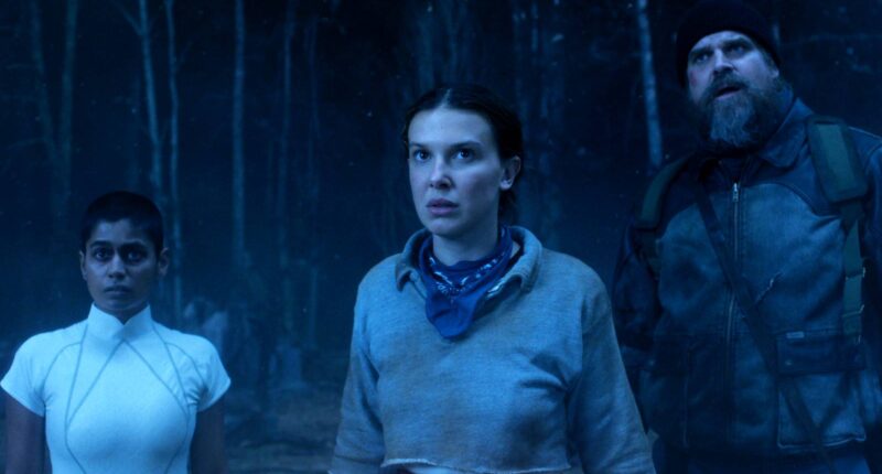 Stranger Things Finally Reveals The Truth About The Upside Down