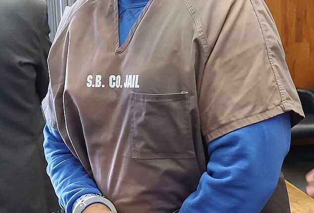 Russell Maxwell Phay, 43, of Nevada, is facing felony charges of attempted murder, burglary, kidnapping and assault for allegedly beating Linda Malek-Aslanian nearly to death