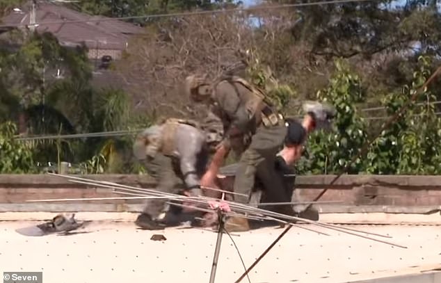 Police arrested a man in Telopea, west Sydney, on Tuesday afternoon (pictured, the arrest)