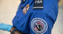 The Transportation Security Administration answered a slew of burning questions about what you can and can't bring through airport security ahead of the holidays (stock image)