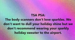 The Transportation Security Administration (TSA) posted a festive reminder not to wear sparkly clothes while flying this holiday season - unless you want to be held up at security