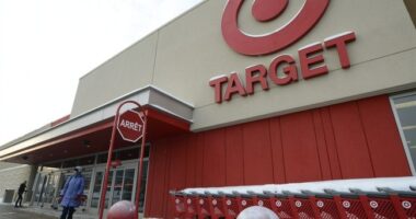 Target Lady Has Last Laugh on AWFL Grinch Who Tried to Steal Christmas, Gets Roaring Welcome at TPUSA – RedState