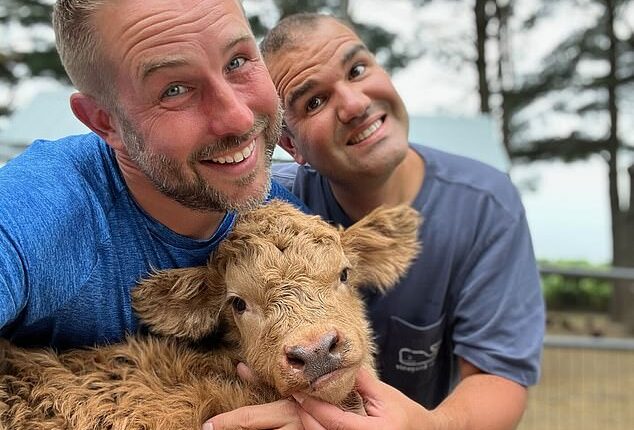 Fluffy Feather Farm owners Mike Isaac (left) and Adam Stachowiak (right) helped turn Highland cows into viral stars through social media.