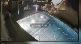 Shocking surveillance footage caught the moment a car crashed through the backyard of a Nevada home on the night of December 15