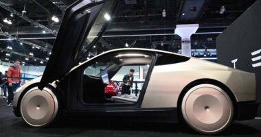 Tesla is the only Big Tech stock without a new high this year — but it’s getting closer