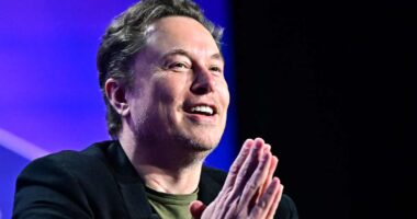 Tesla’s stock finally clinches a milestone almost a year in the making