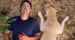 The 10 Longest TV Episodes In History, Ranked