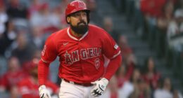 Celebrity Net Worth logo