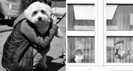 The Marvels Of Daily Life Captured In 45 New Stunning Photos By Mary Crnkovic Pilas